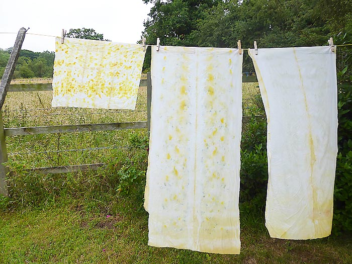 Eco dyeing 3
